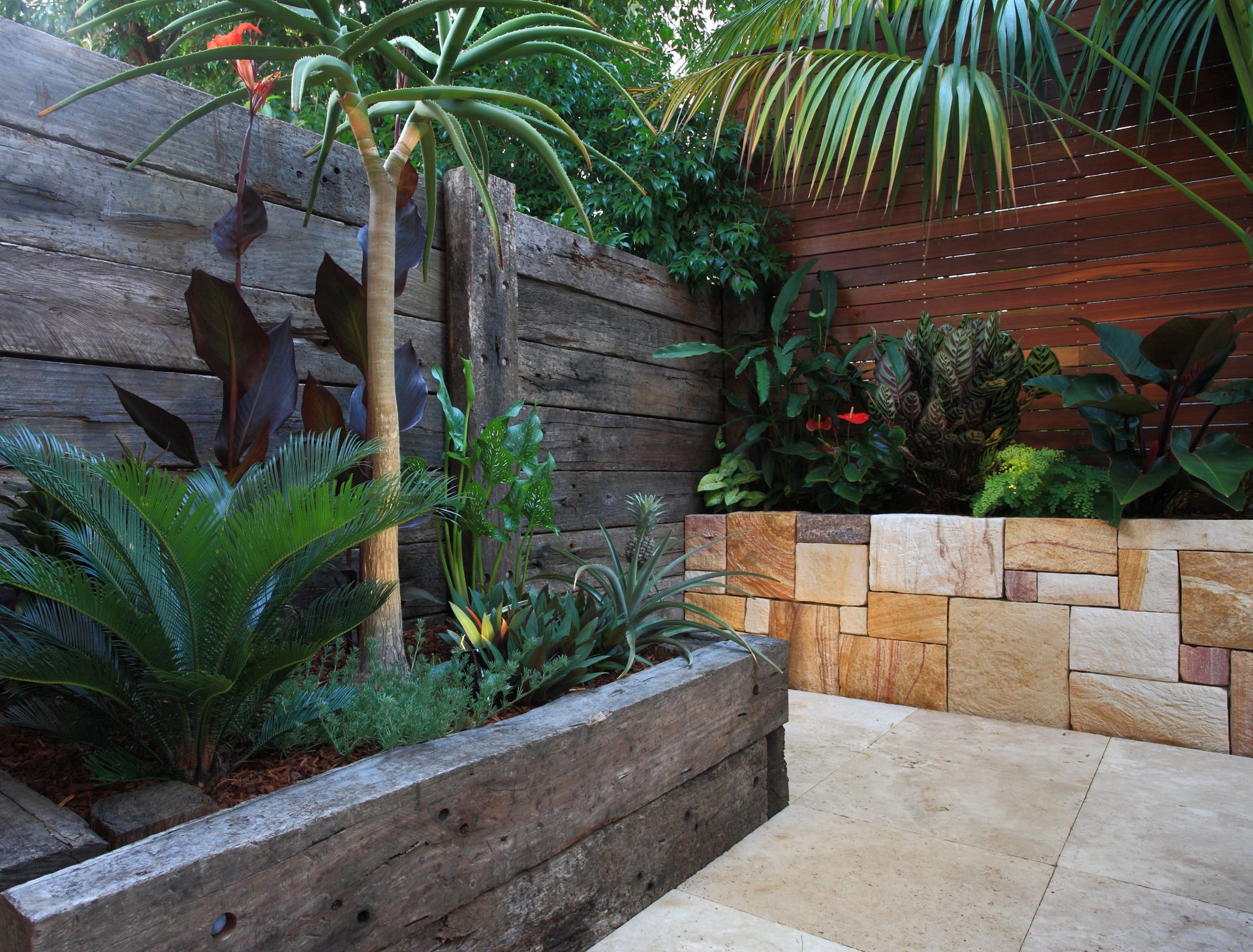 Mature Trees in Landscape Design and Construction
